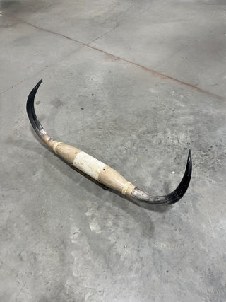 5-6ft Longhorn mount (f6)