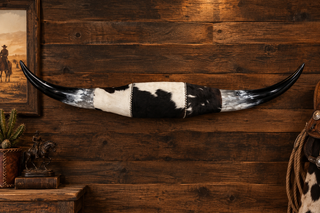 4.4ft Watusi horns mount
