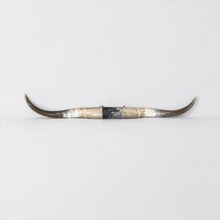 4-5ft Longhorn mount (f46)