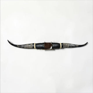 3.6 ft Longhorn mount (w10)