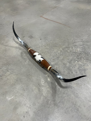 5-6ft Longhorn mount (f3)