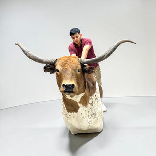 Cow shoulder mount