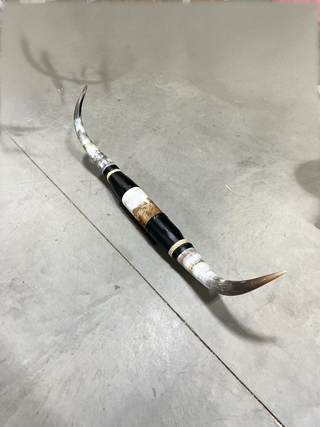 4.5ft Longhorn mount (g6)