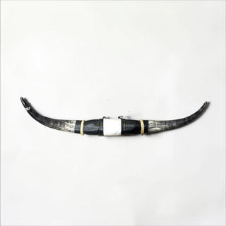 3.2ft Longhorn mount (w03)