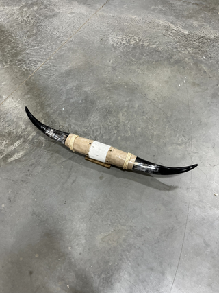 3.5ft Longhorn mount (f16)