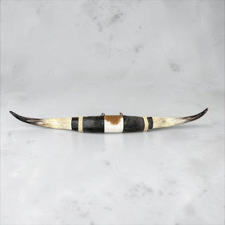 3.3ft Longhorn mount (c03)
