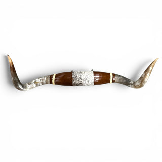 3.10’ Longhorn mount (p22)