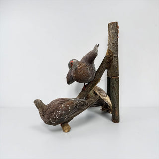 2 spackled pigeons perched on a wood branch