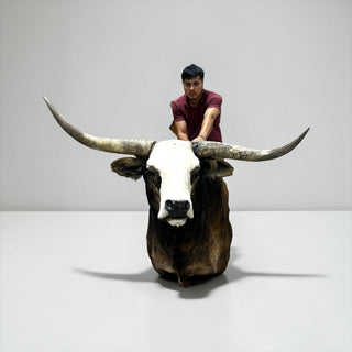 Cow shoulder mount