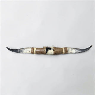 3.5ft Longhorn mount (c16)