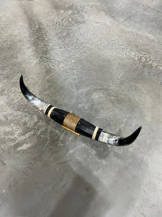 2.11ft Longhorn mount (f19)