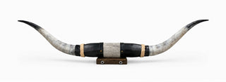 3.10ft Longhorn mount (As10)