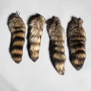Natural raccoon tail
