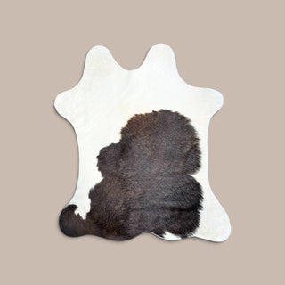 2ft calf hide