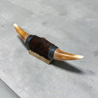 1ft Longhorn mount (d33)
