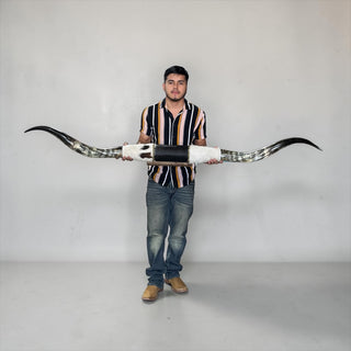 5-6ft rustic Longhorn mount (w06)
