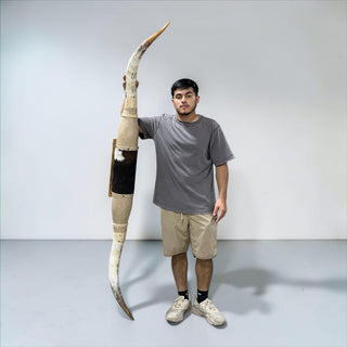 6.3ft Longhorn mount (b23)
