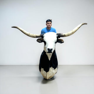 Longhorn shoulder mount