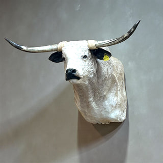 Cow shoulder mount