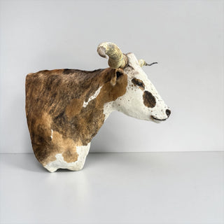 Longhorn shoulder mount
