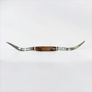 5.9ft Longhorn mount (d12)