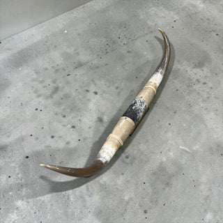 4-5ft Longhorn mount (f46)