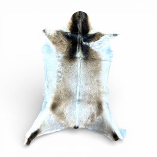 2-3’ goat hide (r18)