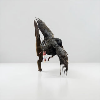 Life-size turkey on a driftwood wall hanging base