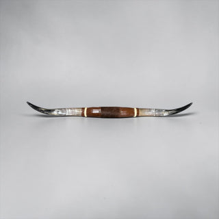 5-6ft Longhorn mount (f4)