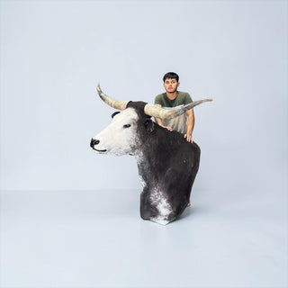 Longhorn shoulder mount