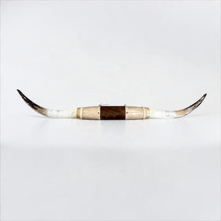 3.9ft Longhorn mount (d16)