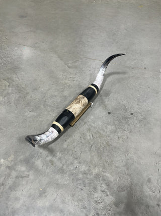 5-6ft Longhorn mount (f7)