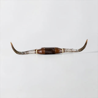 4-5ft Longhorn mount (f44)
