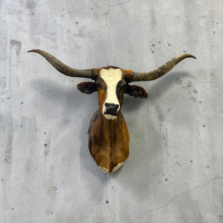 Longhorn shoulder mount