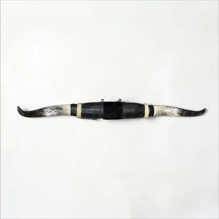 3.4ft Longhorn mount (w06)