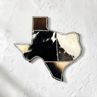 Silver Texas state cowhide wall decor