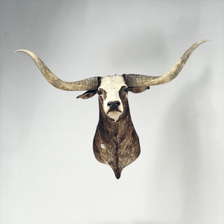 Longhorn shoulder mount