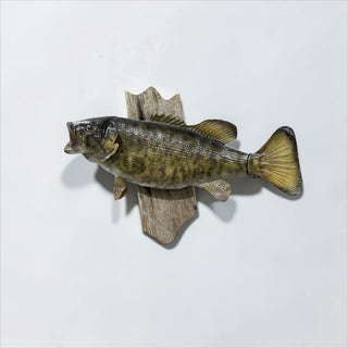 Real sling smallmouth bass fish mount on a barn wood hanger