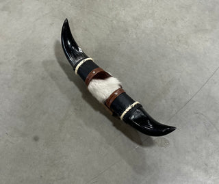 1.7 ft Longhorn mount (d20)