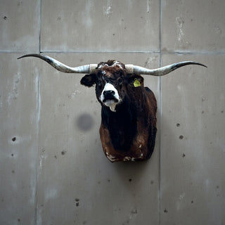 Cow shoulder mount