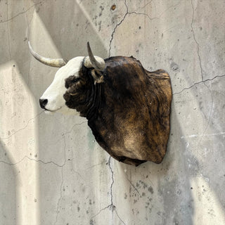 Cow shoulder mount