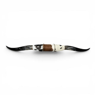 4.2’ Longhorn mount (p19)