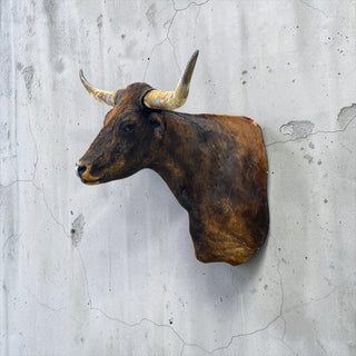 Longhorn shoulder mount