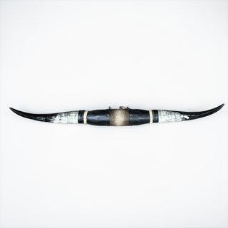 4.1’ longhorn mount (s10)