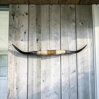 5-6ft Longhorn mount (f2)