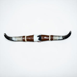 3.5’ Longhorn mount (s8)