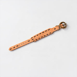 Leather dog collar