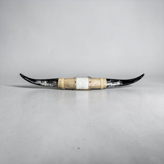 3.5ft Longhorn mount (f16)