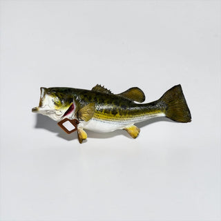 Real skin large mouth bass fish mount