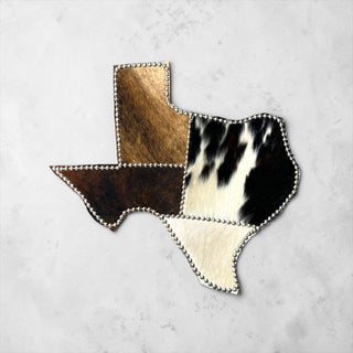Silver Texas state cowhide wall decor